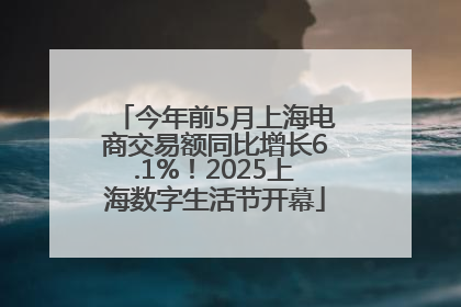 今年前5月上海电商交易额同比增长6.1%！2025上海数字生活节开幕