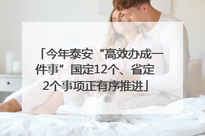 今年泰安“高效办成一件事”国定12个、省定2个事项正有序推进
