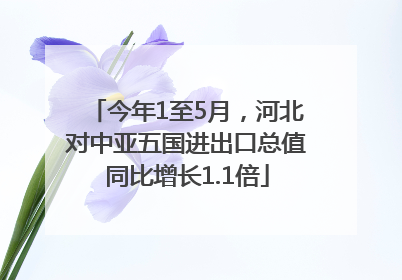 今年1至5月，河北对中亚五国进出口总值同比增长1.1倍