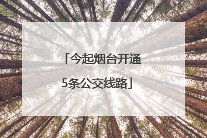 今起烟台开通5条公交线路