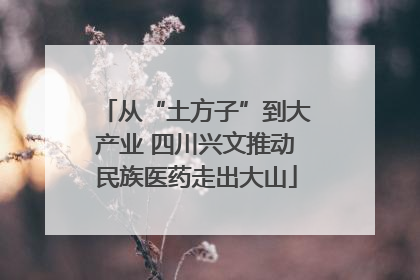 从“土方子”到大产业 四川兴文推动民族医药走出大山