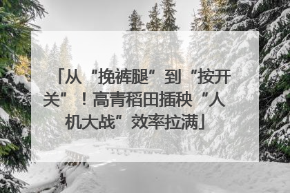 从“挽裤腿”到“按开关”！高青稻田插秧“人机大战”效率拉满