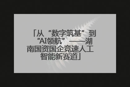从“数字筑基”到“AI领航”——湖南国资国企竞速人工智能新赛道