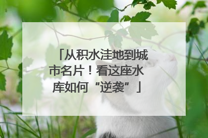 从积水洼地到城市名片！看这座水库如何“逆袭”