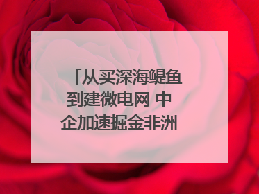 从买深海鳀鱼到建微电网 中企加速掘金非洲现代化｜直击中非经贸博览会
