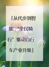 从代步到智能 “全民骑行”驱动自行车产业升级