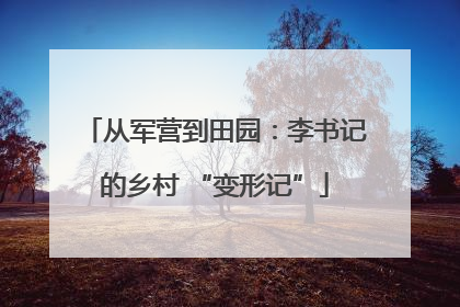 从军营到田园：李书记的乡村 “变形记”