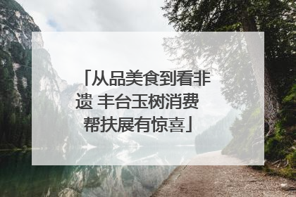 从品美食到看非遗 丰台玉树消费帮扶展有惊喜
