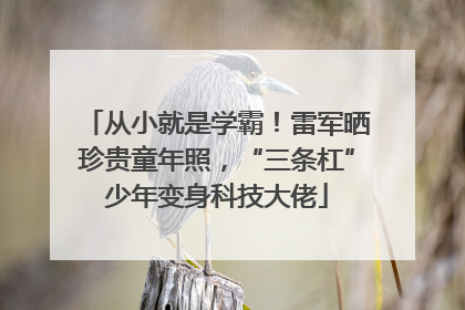 从小就是学霸！雷军晒珍贵童年照，“三条杠”少年变身科技大佬