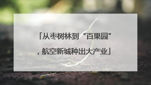从枣树林到“百果园”，航空新城种出大产业