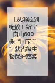 从濒危到绽放！新宁崀山600株“国宝兰”获省级生物保护嘉奖