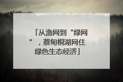 从渔网到“绿网”，蔡甸桐湖网住绿色生态经济