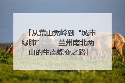 从荒山秃岭到“城市绿肺”——兰州南北两山的生态蝶变之路