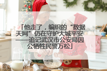 他走了，编织的“数据天网”仍在守护大城平安——追记武汉市公安局因公牺牲民警万松