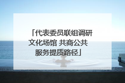 代表委员联组调研文化场馆 共商公共服务提质路径
