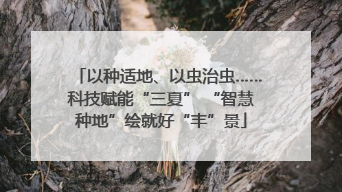 以种适地、以虫治虫……科技赋能“三夏” “智慧种地”绘就好“丰”景