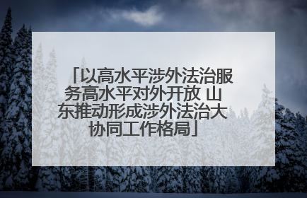 以高水平涉外法治服务高水平对外开放 山东推动形成涉外法治大协同工作格局