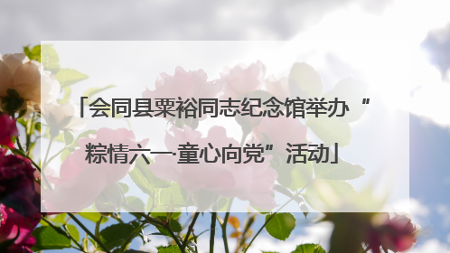 会同县粟裕同志纪念馆举办“粽情六一·童心向党”活动