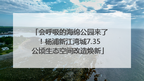 会呼吸的海绵公园来了！杨浦新江湾城7.35公顷生态空间改造焕新