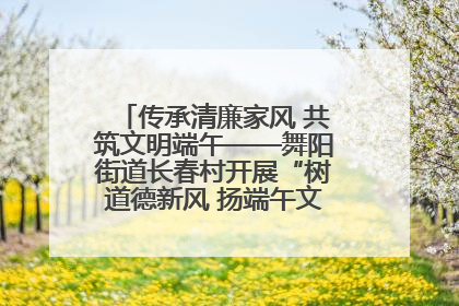 传承清廉家风 共筑文明端午——舞阳街道长春村开展“树道德新风 扬端午文化”主题活动