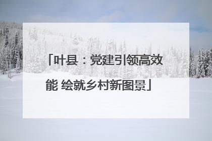 叶县：党建引领高效能 绘就乡村新图景