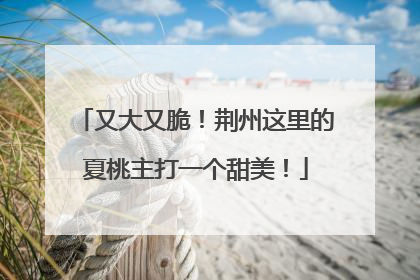 又大又脆！荆州这里的夏桃主打一个甜美！