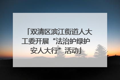 双清区滨江街道人大工委开展“法治护绿护安人大行”活动