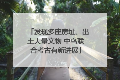 发现多座房址、出土大量文物 中乌联合考古有新进展
