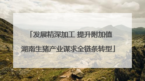 发展精深加工 提升附加值 湖南生猪产业谋求全链条转型