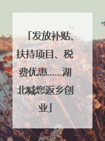 发放补贴、扶持项目、税费优惠……湖北喊您返乡创业