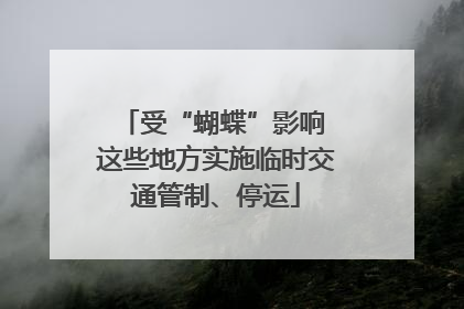 受“蝴蝶”影响 这些地方实施临时交通管制、停运