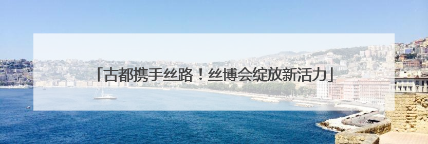 古都携手丝路！丝博会绽放新活力