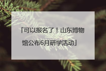 可以报名了！山东博物馆公布6月研学活动