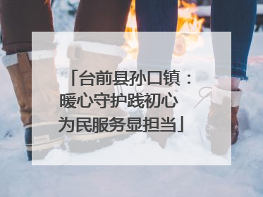 台前县孙口镇：暖心守护践初心 为民服务显担当