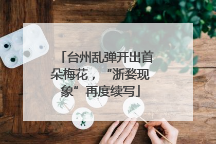 台州乱弹开出首朵梅花，“浙婺现象”再度续写