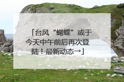 台风“蝴蝶”或于今天中午前后再次登陆！最新动态→