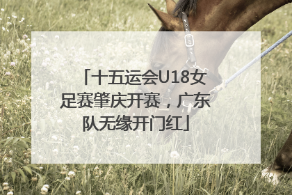 十五运会U18女足赛肇庆开赛，广东队无缘开门红