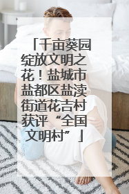 千亩葵园绽放文明之花！盐城市盐都区盐渎街道花吉村获评“全国文明村”