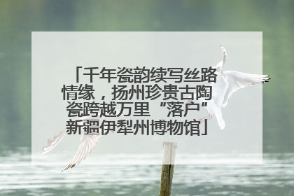 千年瓷韵续写丝路情缘，扬州珍贵古陶瓷跨越万里“落户”新疆伊犁州博物馆