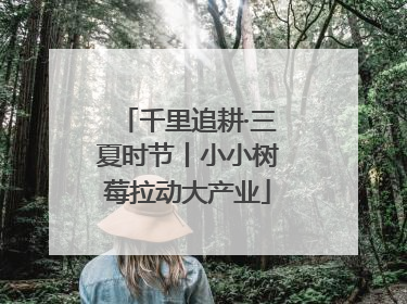 千里追耕·三夏时节丨小小树莓拉动大产业