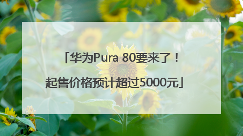 华为Pura 80要来了！起售价格预计超过5000元