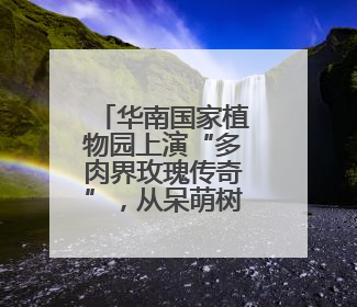 华南国家植物园上演“多肉界玫瑰传奇”，从呆萌树干到炸裂种子全是戏！