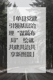 单县党建引领基层治理“谋篇布局” 绘就共建共治共享新图景