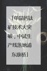 单晶钙钛矿技术大突破，中试生产线落地浦东康桥