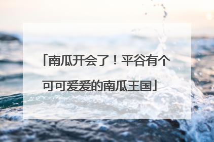 南瓜开会了！平谷有个可可爱爱的南瓜王国