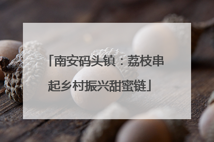 南安码头镇：荔枝串起乡村振兴甜蜜链