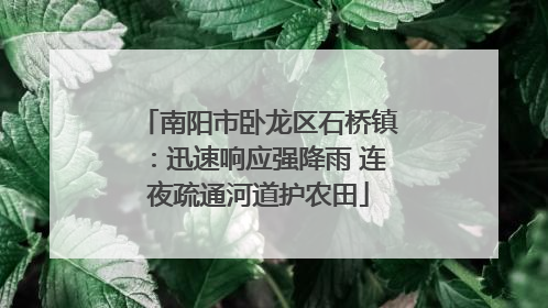 南阳市卧龙区石桥镇：迅速响应强降雨 连夜疏通河道护农田