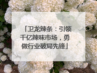 卫龙辣条：引领千亿辣味市场，勇做行业破局先锋