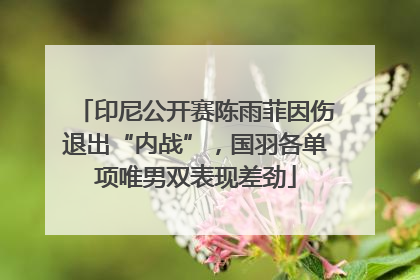 印尼公开赛陈雨菲因伤退出“内战”，国羽各单项唯男双表现差劲