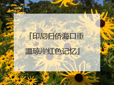 印尼归侨海口重温琼崖红色记忆